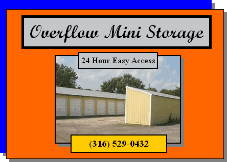 Overflow Mini Storage