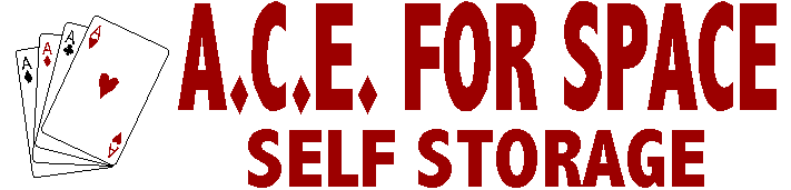 A.C.E. for Space Self-Storage