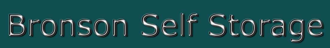 Bronson Self Storage