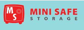 Mini Safe Storage