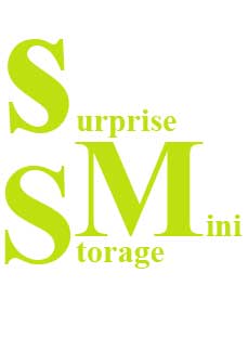 Surprise Mini Storage