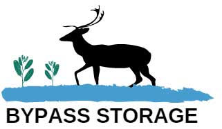 Bypass Storage