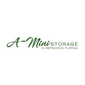 A-Mini Storage
