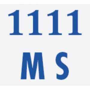1111 Mini Storage