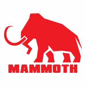 Mammoth Self Storage