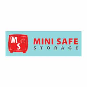 Mini Safe Storage