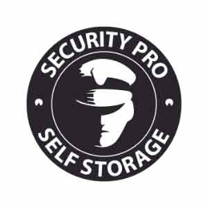 Security Pro Storage
