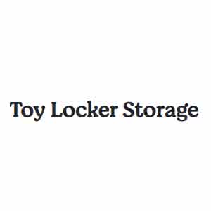 Toy Locker Storage
