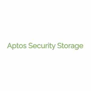 Aptos Security Storage