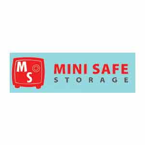 Mini Safe Storage