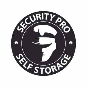 Security Pro Storage