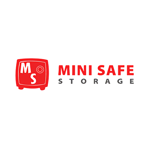 Mini Safe Storage