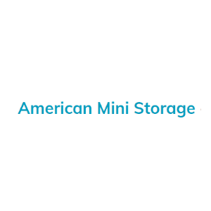 American Mini Storage