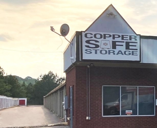 Copper Safe Storage - Griffin
